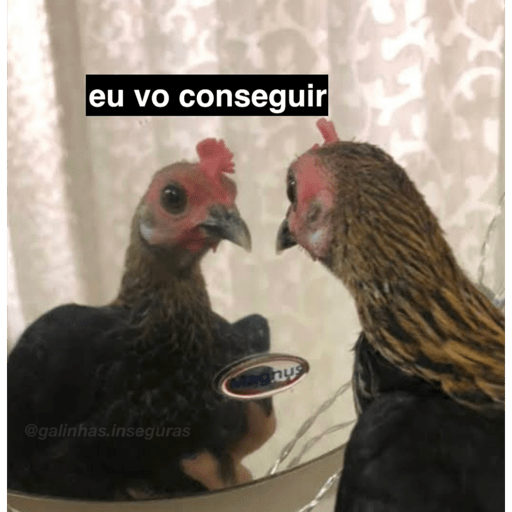 Minhas figurinhas 15