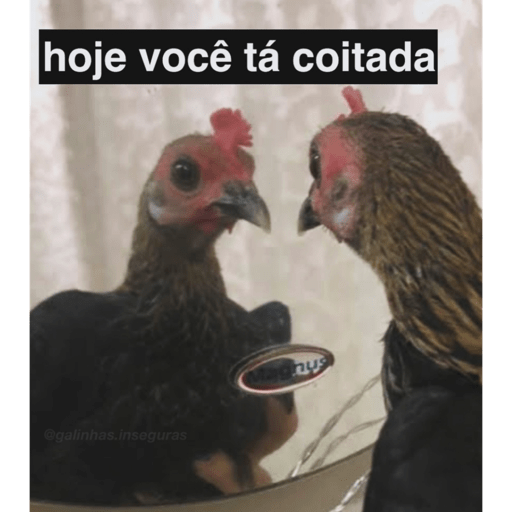 Minhas figurinhas 3