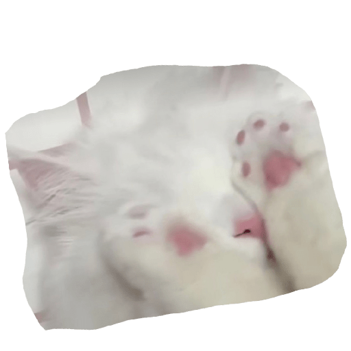 สติกเกอร์ 22