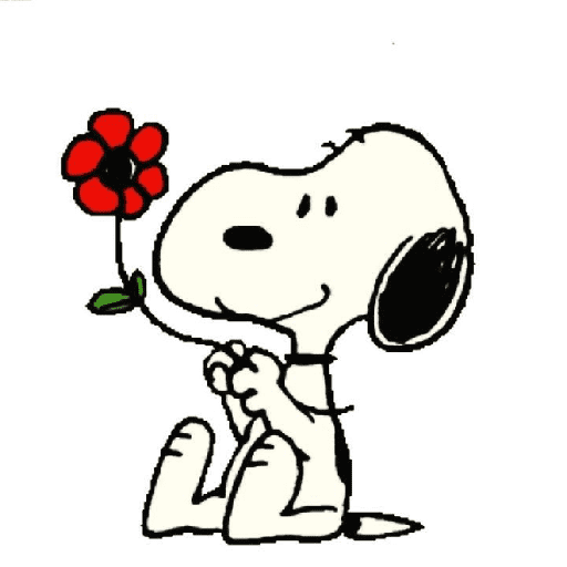 Amor snoopy 🥰💗 4