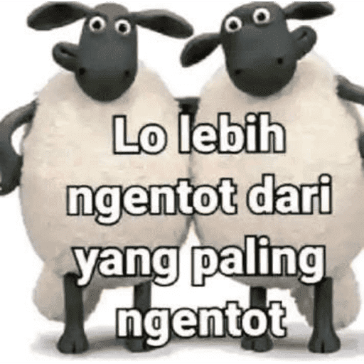 Admin 21
