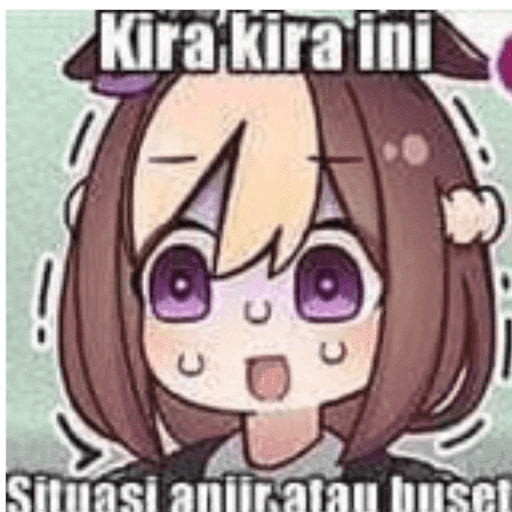 Admin 24
