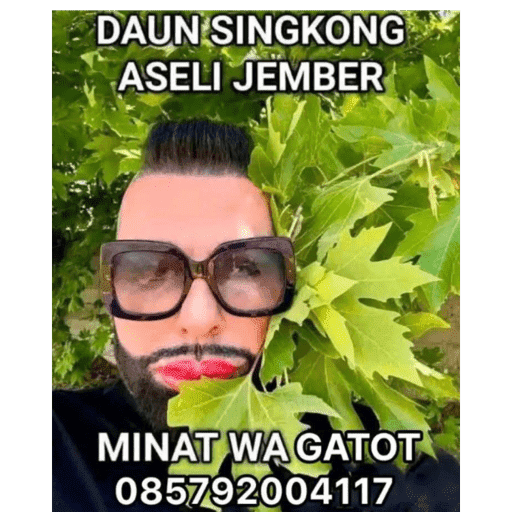 Admin 13