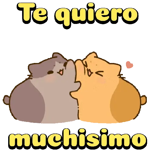 Amorosos❤️ bichitos😻😽 8