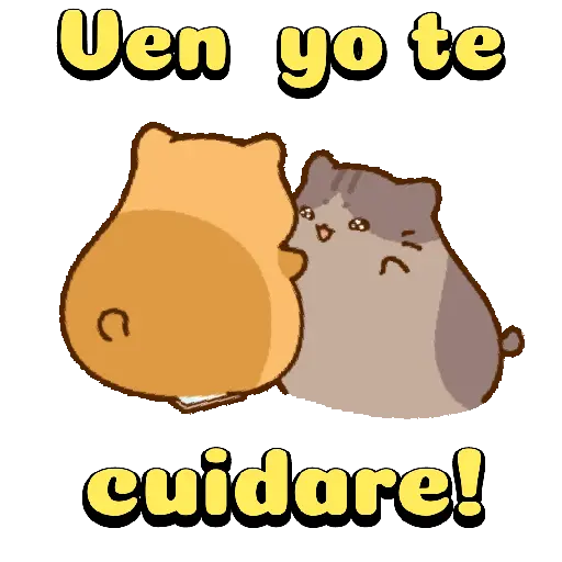 Amorosos❤️ bichitos😻😽 17