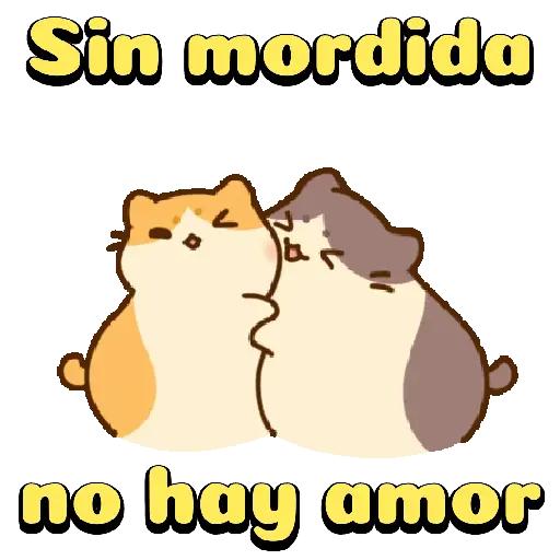 Amorosos❤️ bichitos😻😽 18