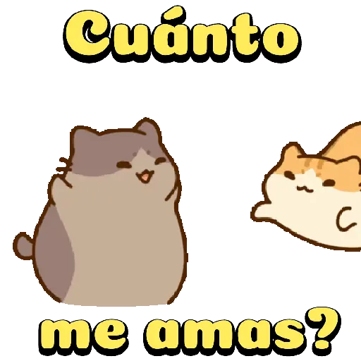 Amorosos❤️ bichitos😻😽 20