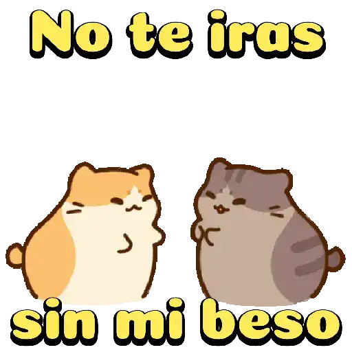 Amorosos❤️ bichitos😻😽 11