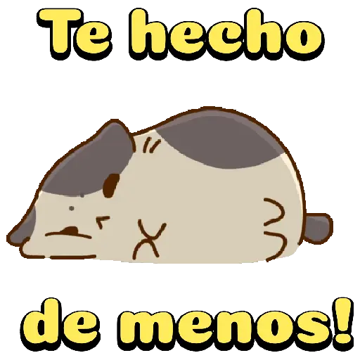 Amorosos❤️ bichitos😻😽 13