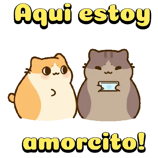 Amorosos❤️ bichitos😻😽 14