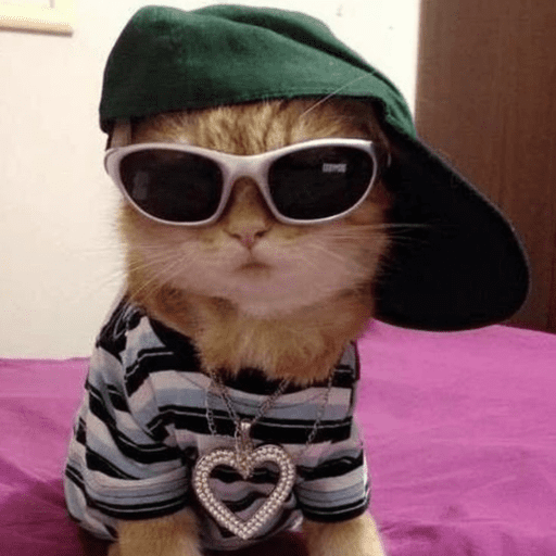 Swag