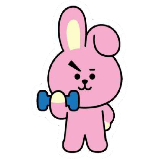 BT21 23