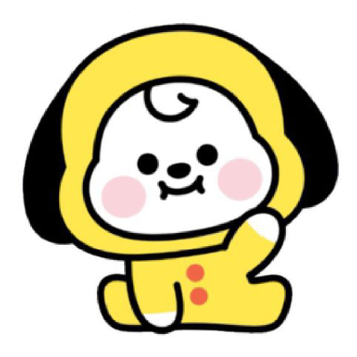 BT21 24