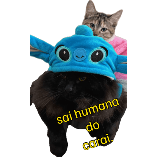 Minhas figurinhas 1