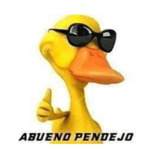 Qqqq 24