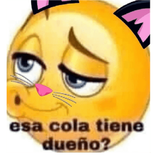 Qqqq 15