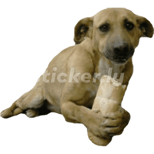 Sticker Image