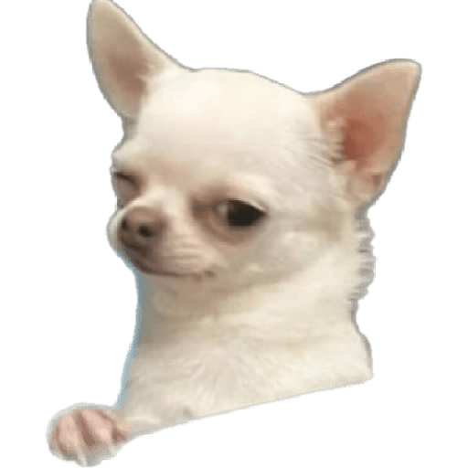 Jeje 4