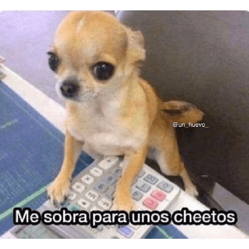 Jeje 6
