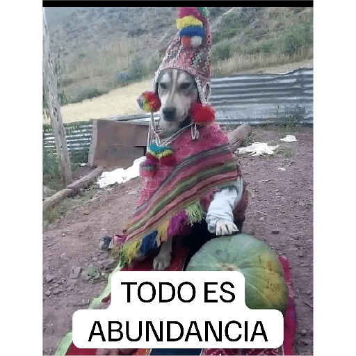 Jeje 23