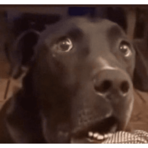 Çıkartma