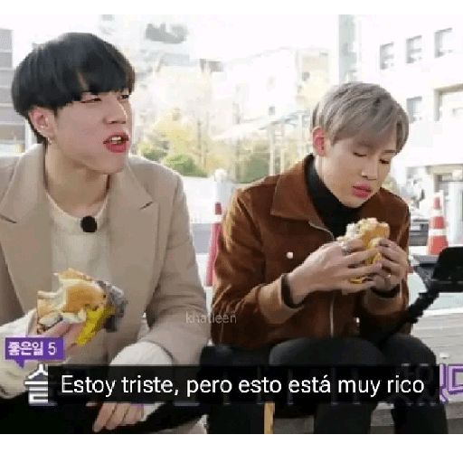 『perritos🐶🐱』 25