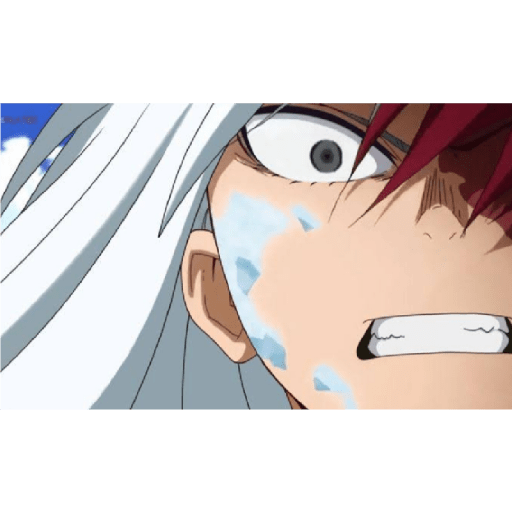 Shoto fem 4.0 xD 25