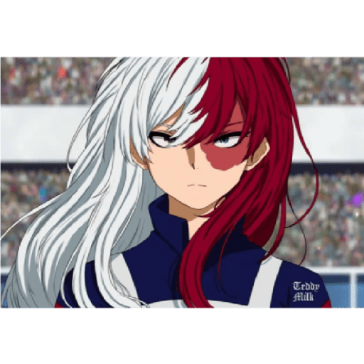 Shoto fem 4.0 xD 20