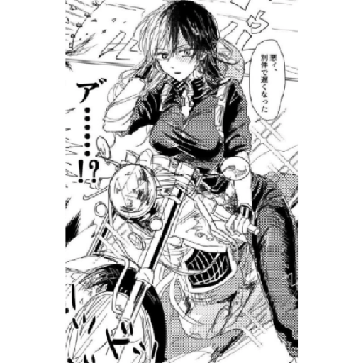 Shoto fem 4.0 xD 30