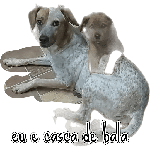 Sticker Image