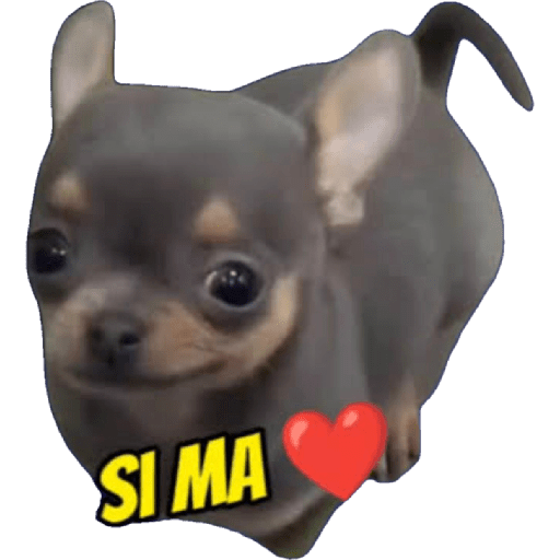 Sticker Image