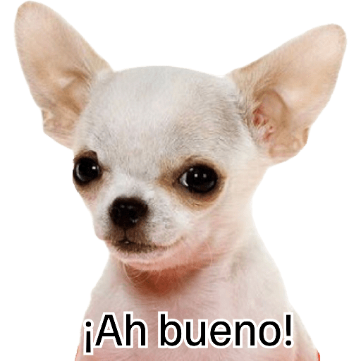 No se lo robe HP 28
