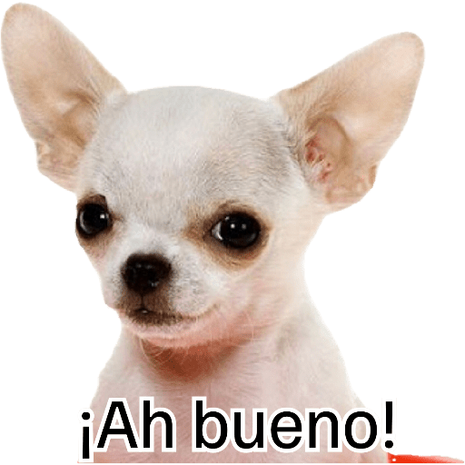 No se lo robe HP 27