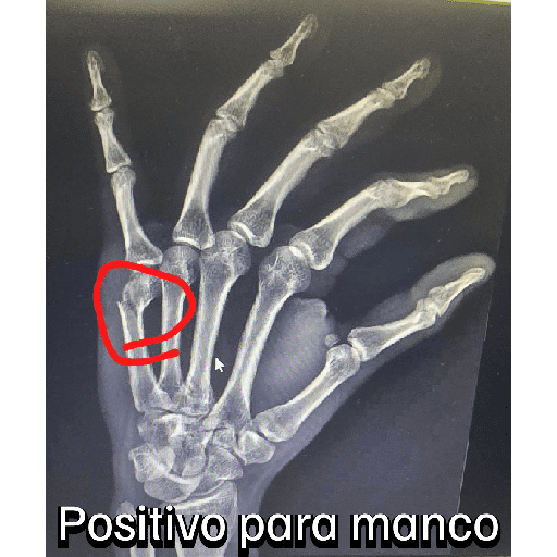 No se lo robe HP 9