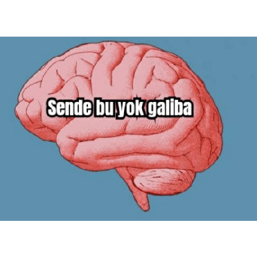 Beyin yok ki!! 27