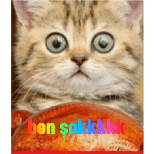 Beyin yok ki!! 5