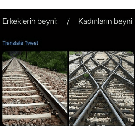 Beyin yok ki!! 26