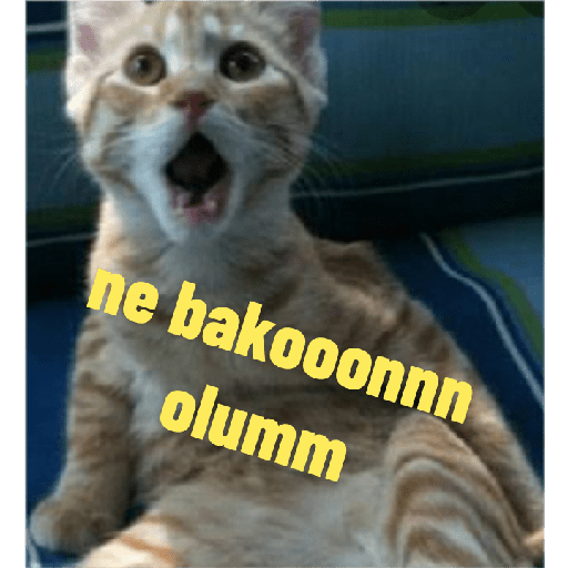 Beyin yok ki!! 6