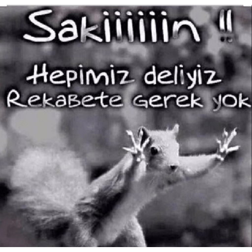 Beyin yok ki!! 16