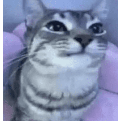  ̷V̷i̷r̷a̷l̷a̷t̷a̷ 10