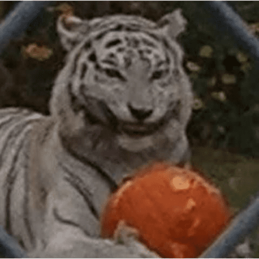  ̷V̷i̷r̷a̷l̷a̷t̷a̷ 8