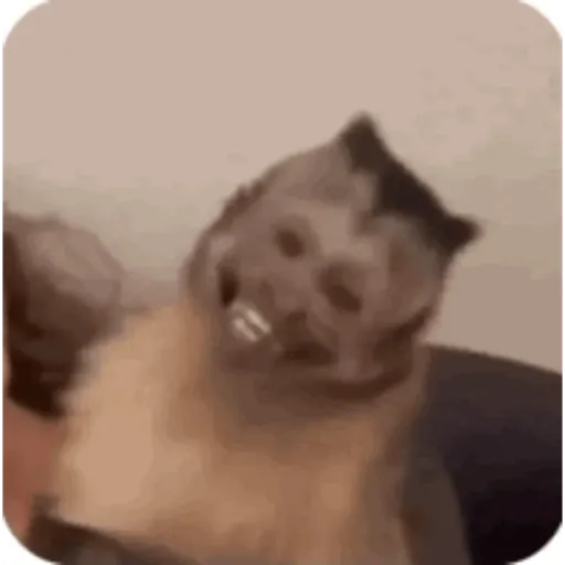Idk 11