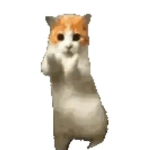 Idk 2