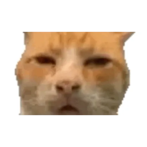 Idk 13