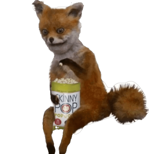 Novo