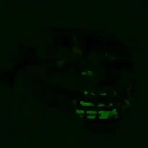 Trollface 4