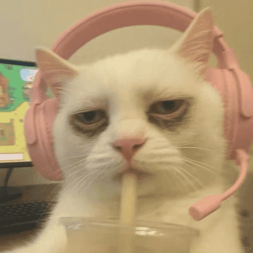 Gatitos  10