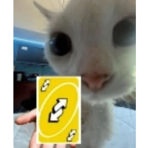 Gatitos  5