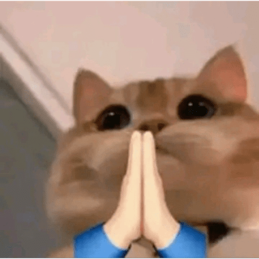 Gatitos  17
