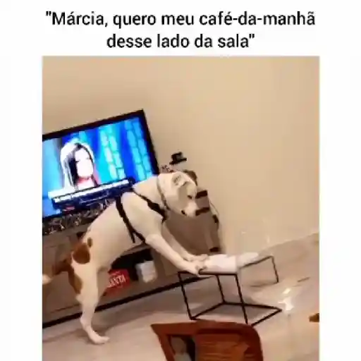 Fofura 2